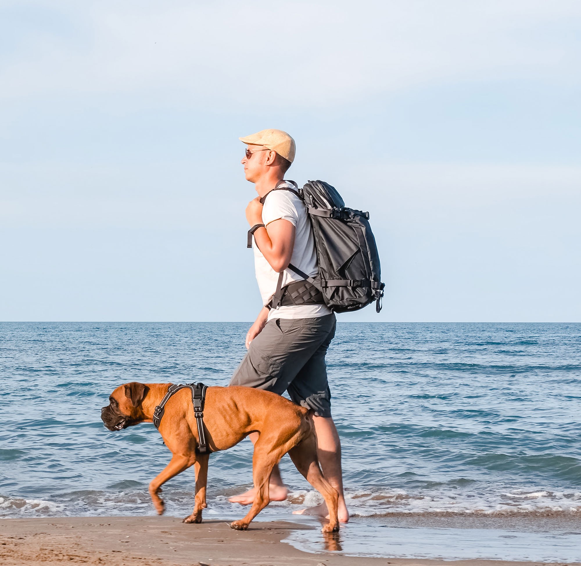 A man walking on the beach with his dog